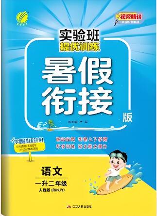 《实验班提优训练暑假衔接》