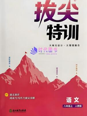 《通成学典拔尖特训》