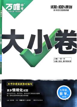 《万唯大小卷》