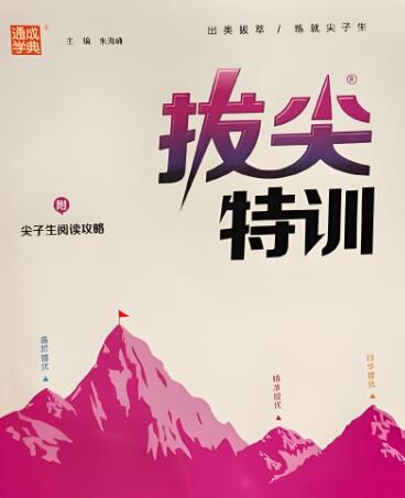 小学英语《拔尖特训》