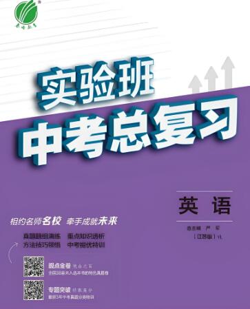 《实验班中考总复习》