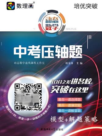 《动态数学·中考压轴题》