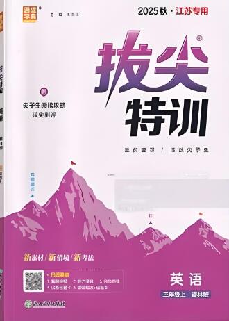2025版译林版英语《拔尖特训》