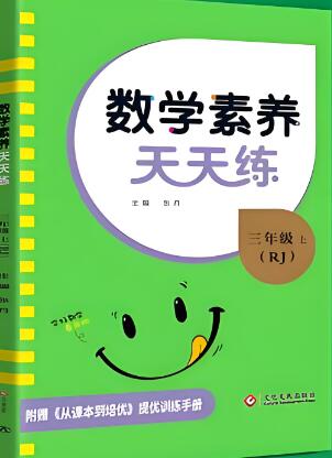 小学《名校课堂数学素养天天练》