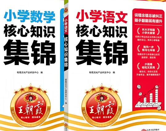 《王朝霞核心知识集锦》