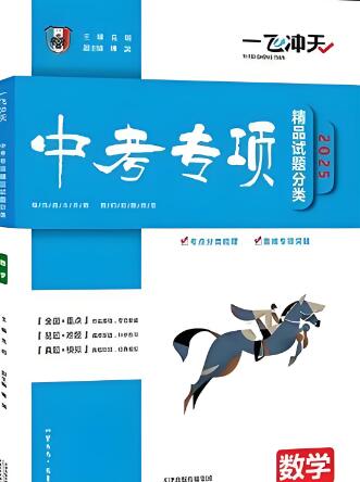 《一飞冲天中考专项精品试题分类》