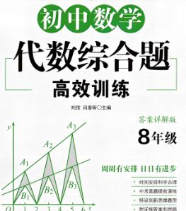 《周计划初中数学代数综合题高效训练》