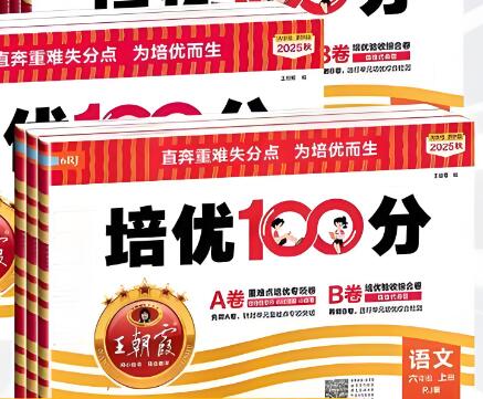 《王朝霞培优100分》