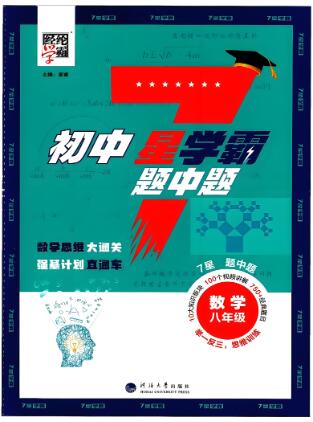 2025版数学初中《7星学霸题中题》
